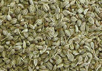 Ajwain seed greenish