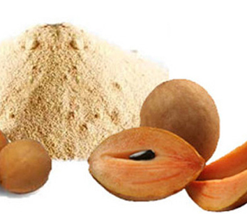 Chikoo Powder