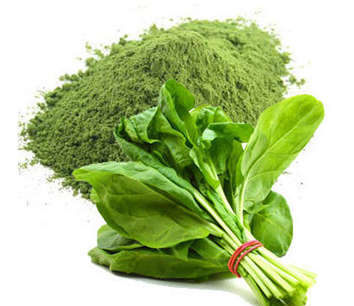 Dehydrated Spinach Powder