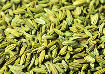 Light green Fennel seed