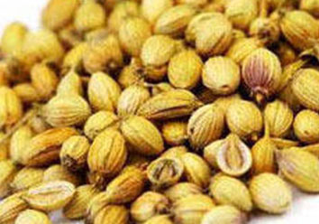 YELLO CORIANDER SEED