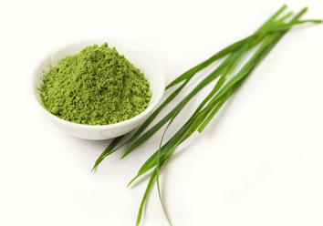 Barley grass powder