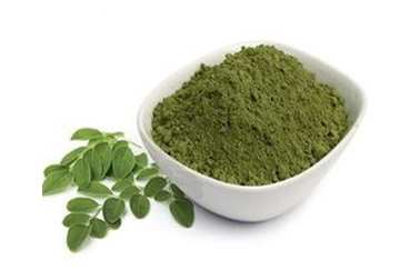 Basil leaves powder