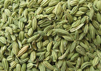 Bold Fennel seed