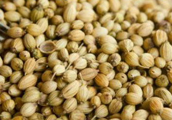 BROWNISH GREEN CORIANDER SEED