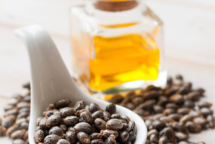 castor seed oil