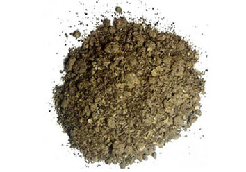 castor seed meal