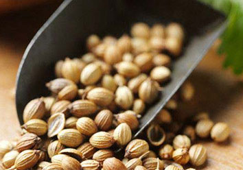 coriander seeds