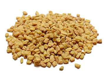 Fenugreek seed