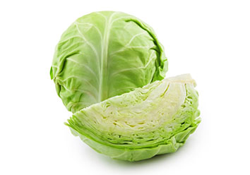 Cabbage