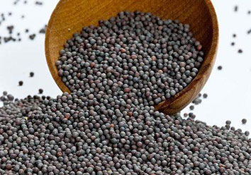 Black mustard seed