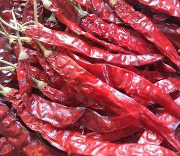 Buy Fresho Chilli - Picador, Red Online at Best Price of Rs 94.17