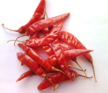 Sannam S4 OR 334 Red Chili