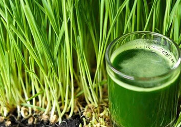 Wheat grass juice